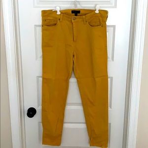 Banana Republic mustard yellow everyday pant